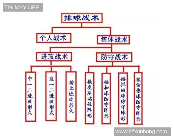 北京排球队整体压制体系的战术解析与实战应用探讨 北京排球队整体压制体系的战术解析与实战应用探讨