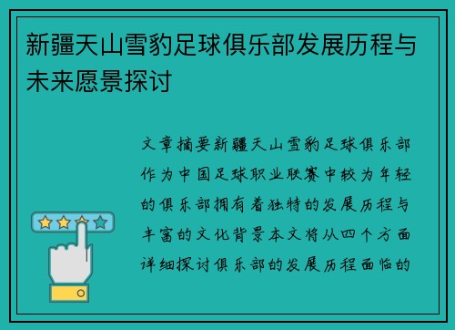 新疆天山雪豹足球俱乐部发展历程与未来愿景探讨