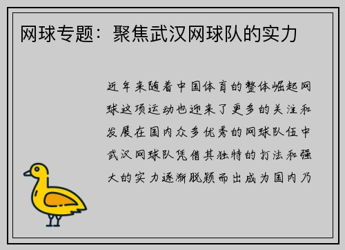 网球专题：聚焦武汉网球队的实力