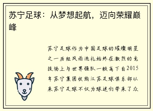 苏宁足球：从梦想起航，迈向荣耀巅峰