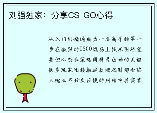 刘强独家：分享CS_GO心得