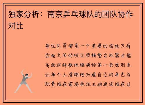 独家分析：南京乒乓球队的团队协作对比